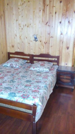 Гостиница Guest house on Apskha Leona 12  Гагра